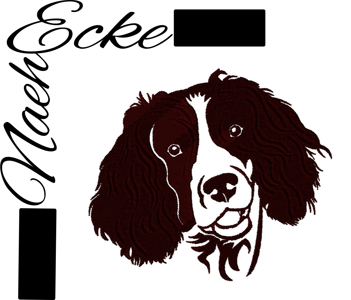 English Springer Spaniel 1