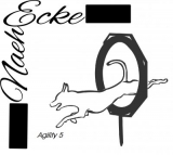 Agility 5