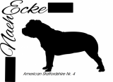 American Staffordshire Terrier 04