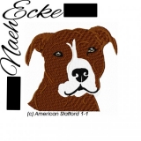 American Staffordshire Terrier 01-1