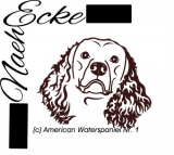 American Waterspaniel