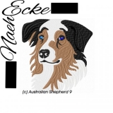 Australian Shepherd 09