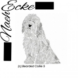 Bearded Collie 05