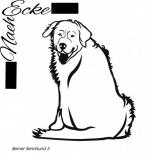 Berner Sennenhund 03