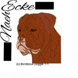 Bordeaux Dogge 1-1