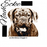 Bordeaux Dogge 6