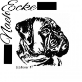 Boxer 11