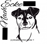 Brasilianischer Terrier