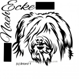 Briard