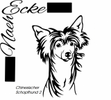 Chinese Crested 2
