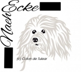 Coton de Tulear