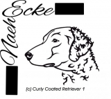 Curly Coated Retriever