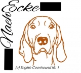 English Coonhound