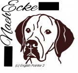 Englischer Pointer