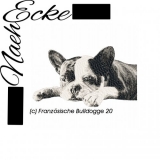 French Bulldog 20