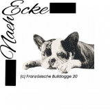 Französische Bulldogge 20