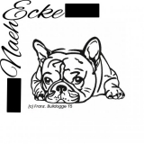 Französische Bulldogge 15