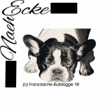 Französische Bulldogge 18