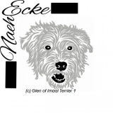 Glen of Imaal Terrier 1