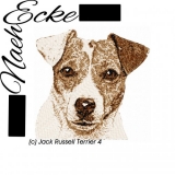 Jack Russell Terrier 04