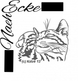 Katze 13