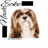 Lhasa Apso 2