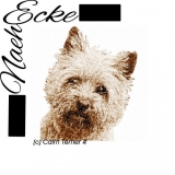 Cairn Terrier 4