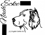 Englischer Setter