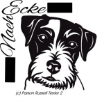 Parson Russell Terrier 2
