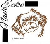 Pekinese 1