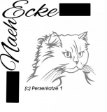 Perserkatze 1