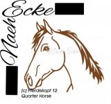 Quarter Horse 12