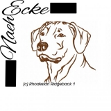 Rhodesian Ridgeback 01