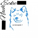 Samojede
