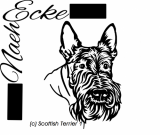 Schottischer Terrier
