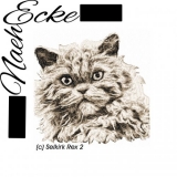 Selkirk Rex 2