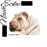 Shar-Pei 4