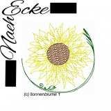 Sonnenblume