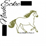 Welsh Pony Sektion A 3