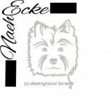 West Highland White Terrier 3