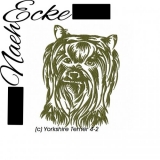 Yorkshire Terrier 4-2