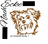 Yorkshire Terrier 1