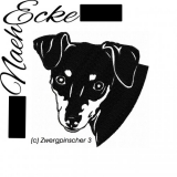 Zwergpinscher 3