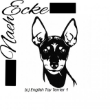 English Toy Terrier 1