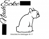 Französische Bulldogge 09