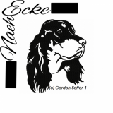 Gordon Setter