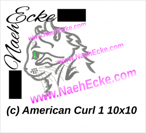 American Curl