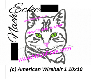 American Wirehair