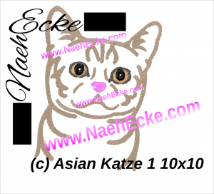Asian Katze