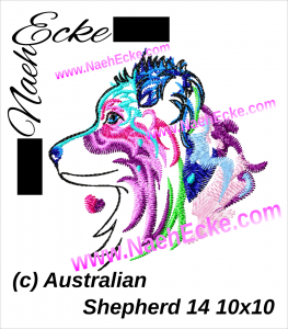 Australian Shepherd 14